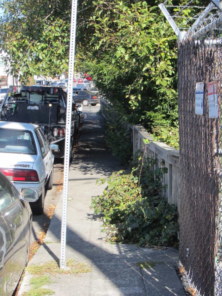 A narrow sidewalk between parked cars and a tall fence is partially blocked by weeds and a sign post.